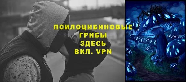 бошки Гусев