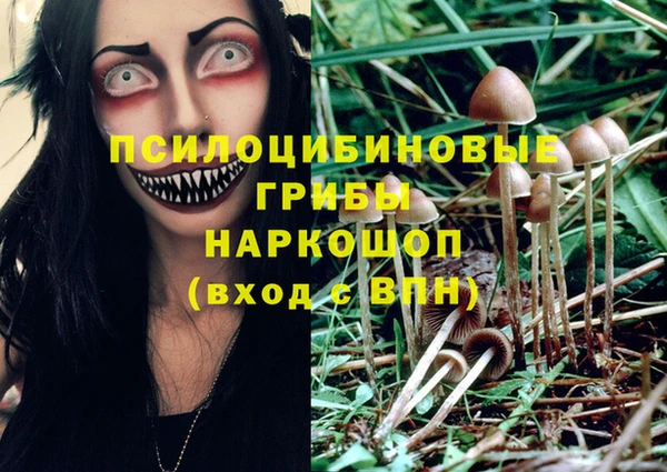 дмт Гусь-Хрустальный